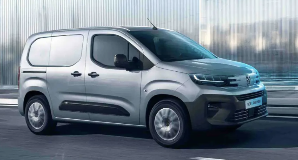 PEUGEOT PARTNER 1.5 BlueHDi 100 Professional Plus Van